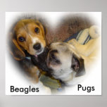Beagle and Pug Canvas Print