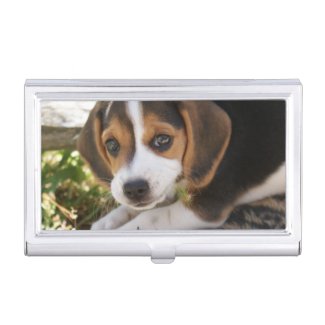 Beagle Baby Dog Business Card Holders