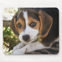 Beagle Baby Dog Mouse Pad