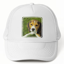 Beagle Baseball Hat