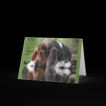 Beagle Birthday Card cards