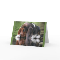 Beagle Birthday Card