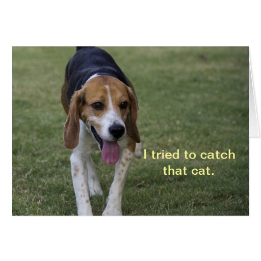 Beagle Birthday Card Zazzle