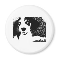 Beagle Black & White magnets