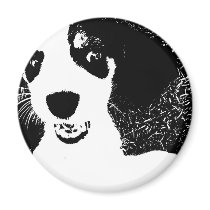 Beagle Black & White magnets