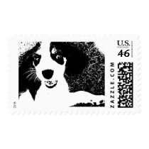 Beagle Black & White postage