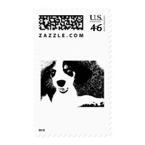 Beagle Black & White postage