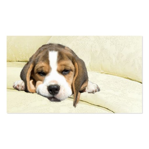 Beagle Breeder Business Card (front side)
