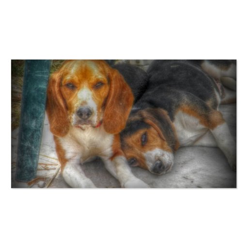 Beagle Brothers Business Card (front side)