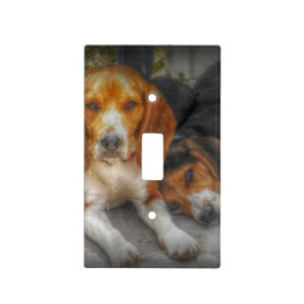 Beagle Brothers Switch Plate Cover