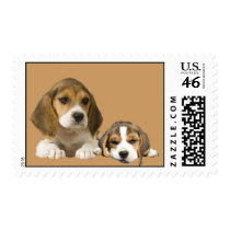 Beagle Buddies Postage Stamp