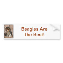 Beagle Bumper Stickers