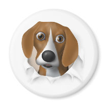 Beagle Busting Out Fridge Magnet