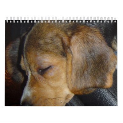 Beagle Calander Wall Calendar by beagles2