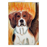 Beagle Cards