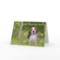 Beagle Card In Forest