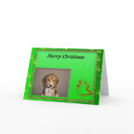 Beagle Christmas Card
