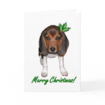 Beagle Christmas Card (Holly)