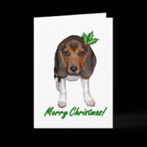 Beagle Christmas Card (Holly)