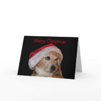 Beagle Christmas Card (Santa) card