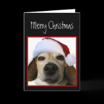 Beagle Christmas Card (Santa Hat) cards