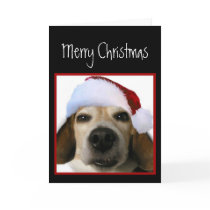 Beagle Christmas Card (Santa Hat)
