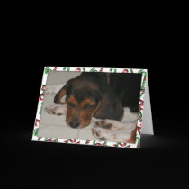 Beagle Christmas Card (Sleepy) cards