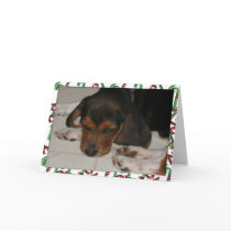 Beagle Christmas Card (Sleepy)