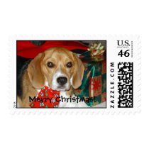Beagle_Christmas postage