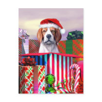Beagle Christmas Surprise Post Card