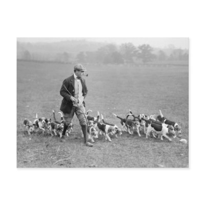 Beagle Club, 1914 Postcards by Photoblog