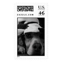 Beagle Cow Postage Stamps