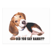 Beagle Did You Say Rabbit? Postcard