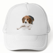 Beagle Dog Baseball Hat