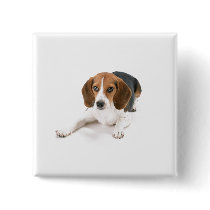 Beagle Dog Pin