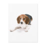 Beagle Dog Postcard