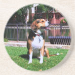 Beagle Drink Coaster - Happy Hound Dog
