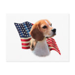 Beagle Flag Postcards