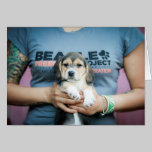 Beagle Freedom Pup on T-Shirt cards