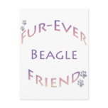 Beagle Furever Postcard