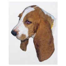 Beagle Gift flyers