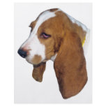 Beagle Gift Flyers