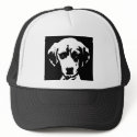 Spürhund-Geschenke - Hut kappen