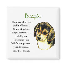 Beagle Gifts magnets