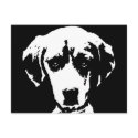 Spürhund-Geschenke - Postkarte postkarten