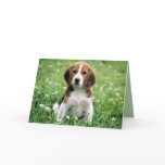 Beagle Greetings Greeting Card