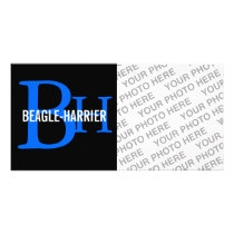 Beagle-Harrier Breed Monogram Photo Greeting Card
