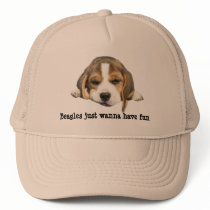 Beagle Hat