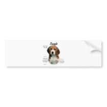 Beagle History Design Bumper Stickers
