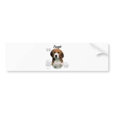 Beagle History Design Bumper Stickers by GreyWolfCreation